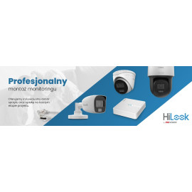 Kamera IP Hilook by Hikvision kopułka 6MP IPCAM-T6-30DL