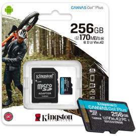 Karta pamięci microSD Kingston Canvas Go Plus microSDXC C10 UHS-I 256GB